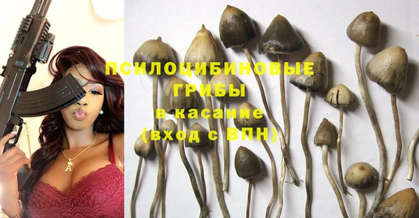 крисы Алексеевка